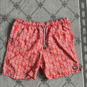Tom & Teddy Swim Trunks with Bold Pattern
